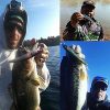 Truscend Bass Fishing Lures