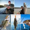 Crankbait Fishing5 PCS Topwater Bass Lures