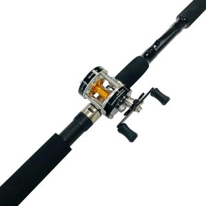 baitcaster rod and reel combo