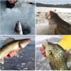 Ice Fishing Jig